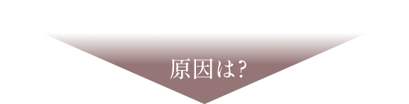 原因は？