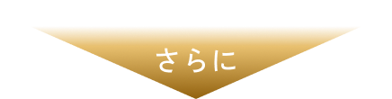さらに