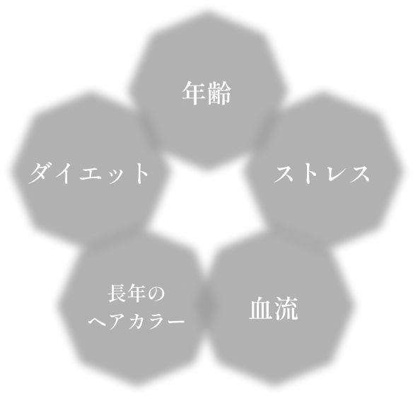 年齢・ストレス・血流・長年のヘアカラー・ダイエット