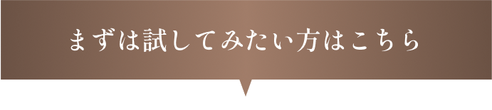 まずは試してみたい方はこちら